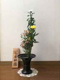 今月のお花：2024年10月