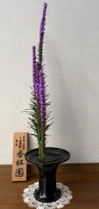 今月のお花：2025年4月