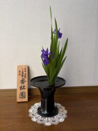 今月のお花：2025年5月
