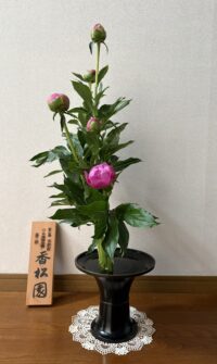 今月のお花：2025年5月