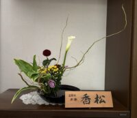 今月のお花：2025年6月