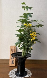 今月のお花：2025年6月