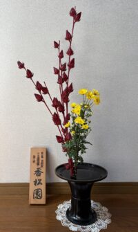 今月のお花：2025年8月