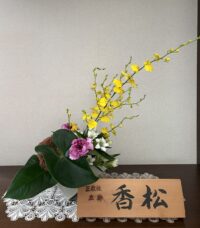 今月のお花：2025年10月