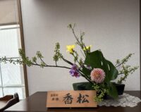今月のお花：2025年12月