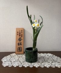 今月のお花：2026年1月