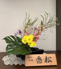 今月のお花：2026年1月