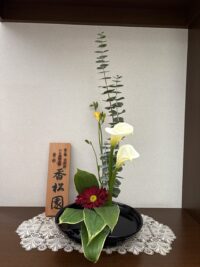 今月のお花：2026年2月