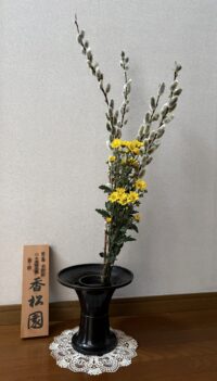 今月のお花：2026年3月