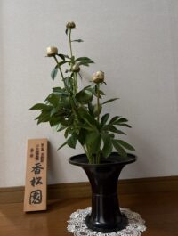 今月のお花：2026年4月