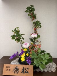 今月のお花：2026年6月