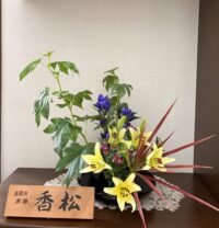今月のお花：2026年7月