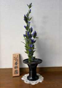 今月のお花：2026年8月